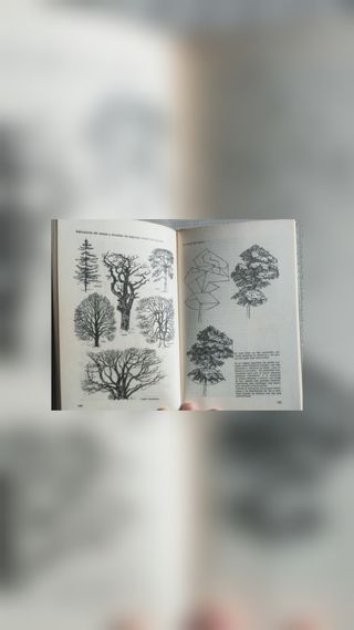 ✅Libro El placer de dibujar+punto de libro de rega