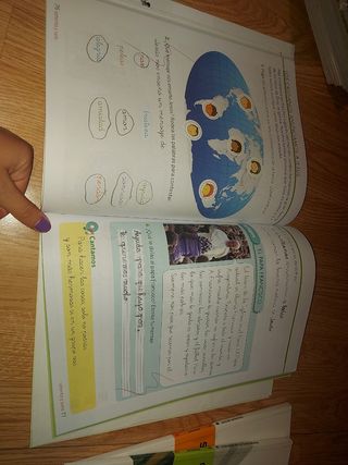 Libro Religión 1° Primaria