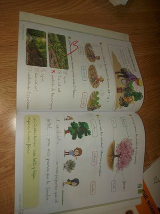 Libro Naturales 1° Primaria