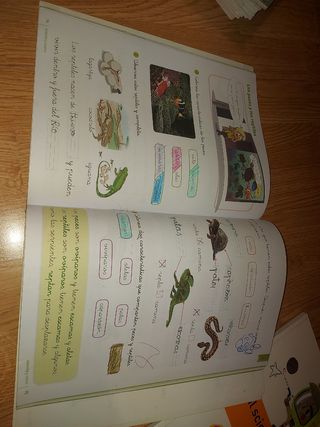 Libro Naturales 1° Primaria