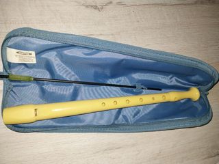 Flauta Disney para el colegio.