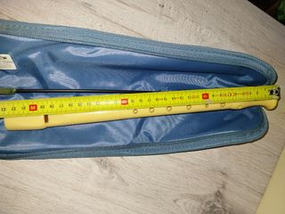 Flauta Disney para el colegio.