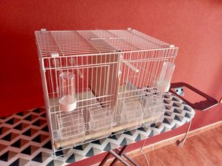 Jaula de cria de 40cm