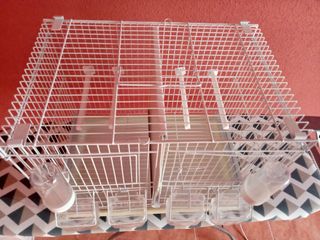 Jaula de cria de 40cm