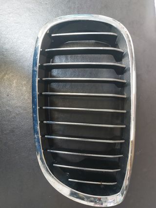 Rejilla riñon bmw