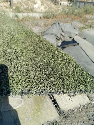 Césped artificial reciclado 🌿