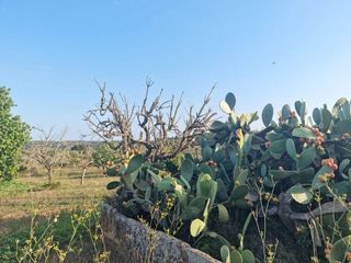 Casa en venta en Sant Llorenç des Cardassar
