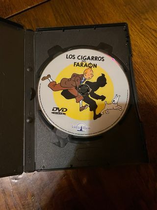 Tintin, Las Aventuras de Tintin, DVD