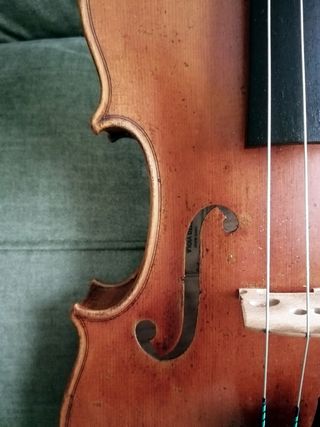 Viola 16'' / 40,5 cm