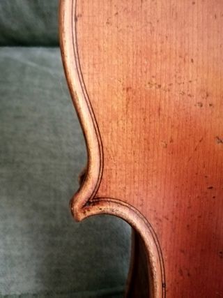 Viola 16'' / 40,5 cm