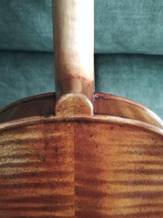 Viola 16'' / 40,5 cm