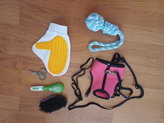 Accesorios para gatos