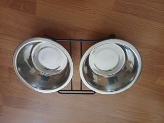 Accesorios para gatos