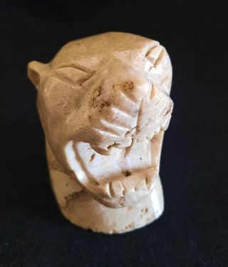Cabeza de Jaguar de Piedra Fósil