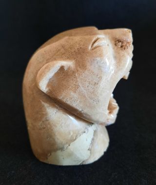 Cabeza de Jaguar de Piedra Fósil