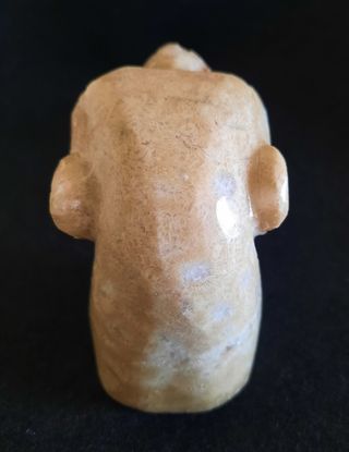 Cabeza de Jaguar de Piedra Fósil