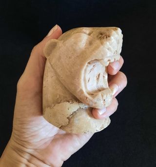 Cabeza de Jaguar de Piedra Fósil