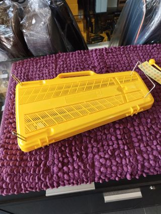 (Nuevo) Carillon Angel (AG25N3) 25 Teclas colores