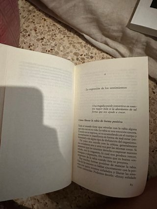 Libro como nuevo el poder esta dentro de ti louise