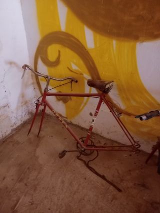 Cuadro orbea
