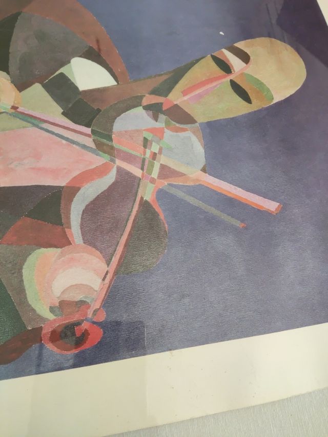 Lamina de violinista