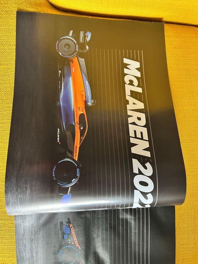 Manuale/istruzioni lego 42141