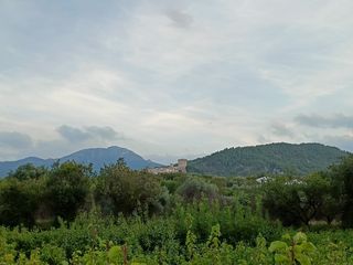 Venta de terreno en Diseminado Hornillos