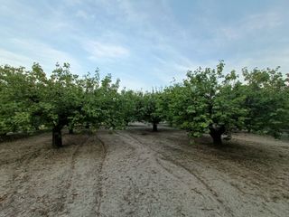 Venta de terreno en Diseminado Hornillos