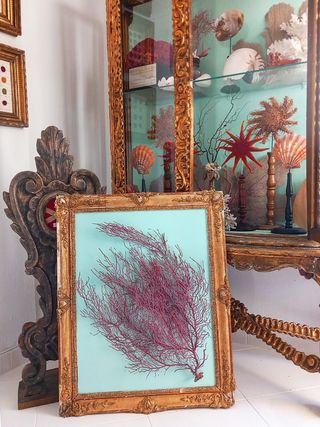 Antiguo marco isabelino XIX con decoración marina