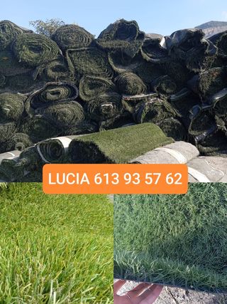 🌱Siempre verde, césped reciclado🌱