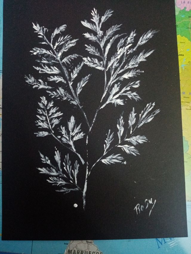 Rama, pintura en papel de acuarela