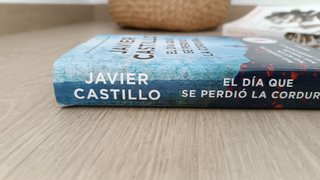 Libro El día que se perdió la cordura
