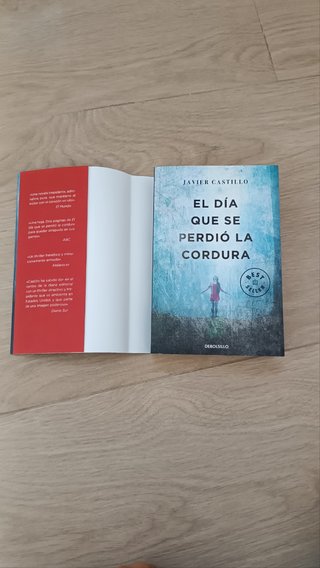Libro El día que se perdió la cordura