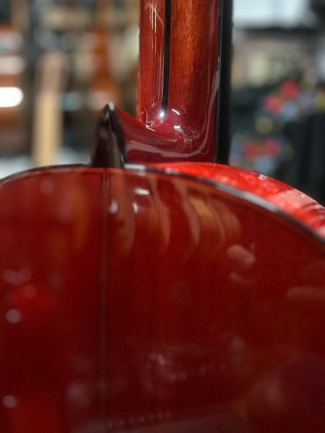 Funda y guitarra flamenca antonio toledo roja