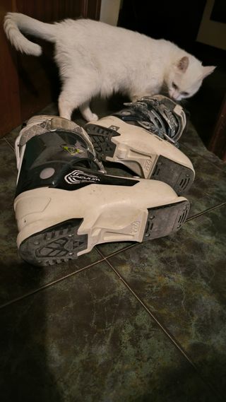 Botas esquí