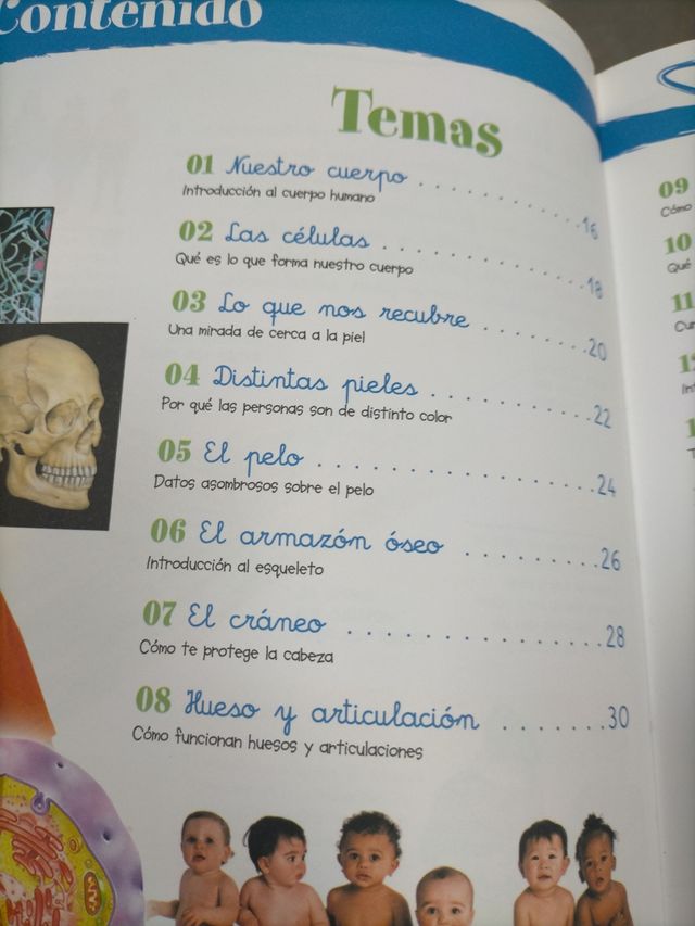 Libro