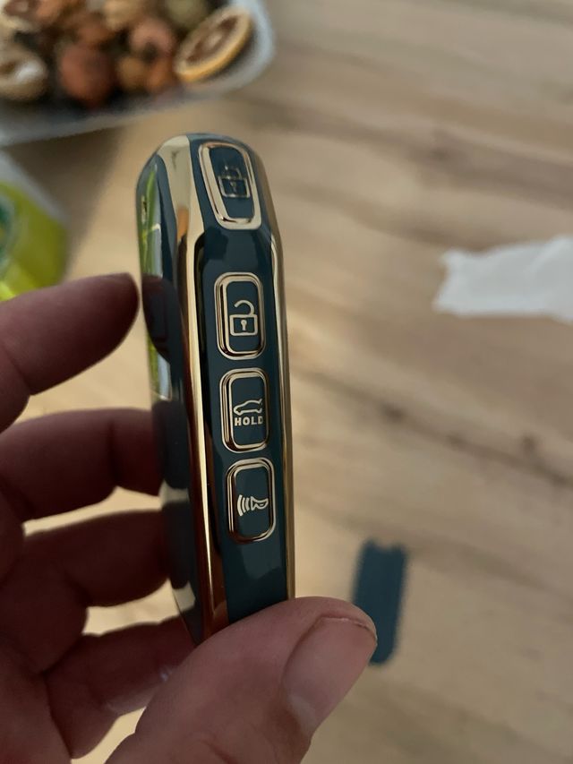 Funda protectora llave Kia