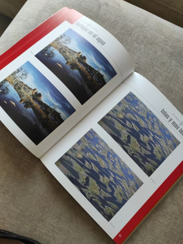 Libro. Busque las diferencias