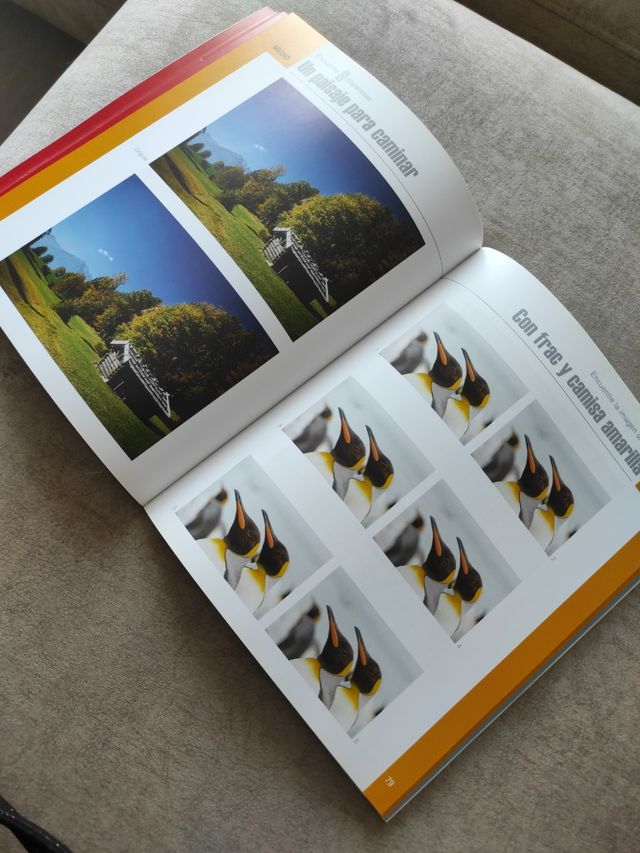 Libro. Busque las diferencias