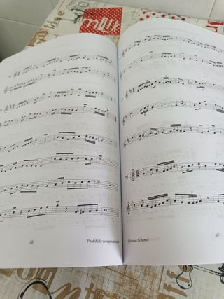 Lenguaje Musical Rítmico v