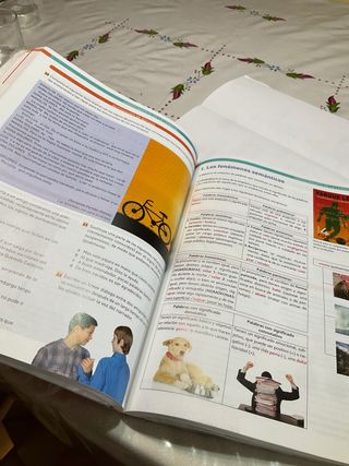 libro lengua castellana y literatura casals 4 eso