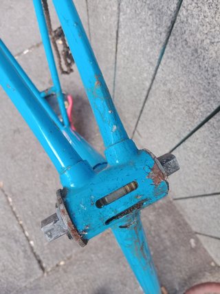Cuadro pista Zeus