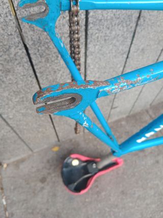 Cuadro pista Zeus
