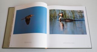 Libro TABLAS DE DAIMIEL. Parque Nacional.