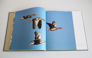 Libro TABLAS DE DAIMIEL. Parque Nacional.