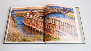 Libro TABLAS DE DAIMIEL. Parque Nacional.