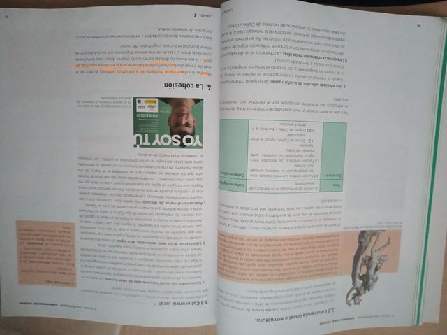 lengua castellana y literatura Casals 1