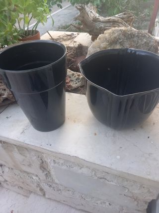 Coppia di vasi neri in plastica con aloe vera.