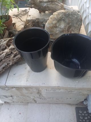 Coppia di vasi neri in plastica con aloe vera.