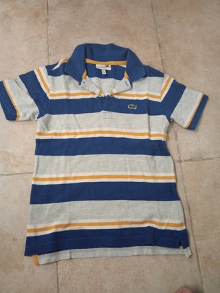 Polo niño